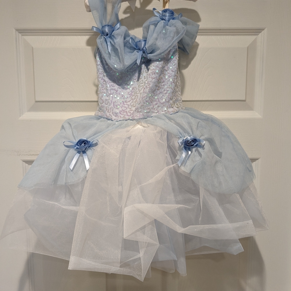 Cinderella Ballerina Dress